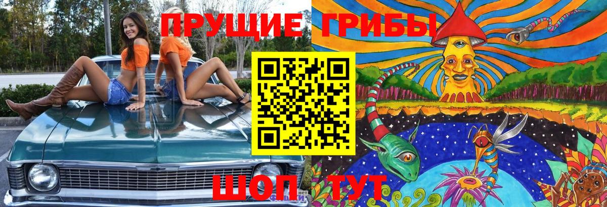 Галлюциногенные грибы прущие грибы Заволжье