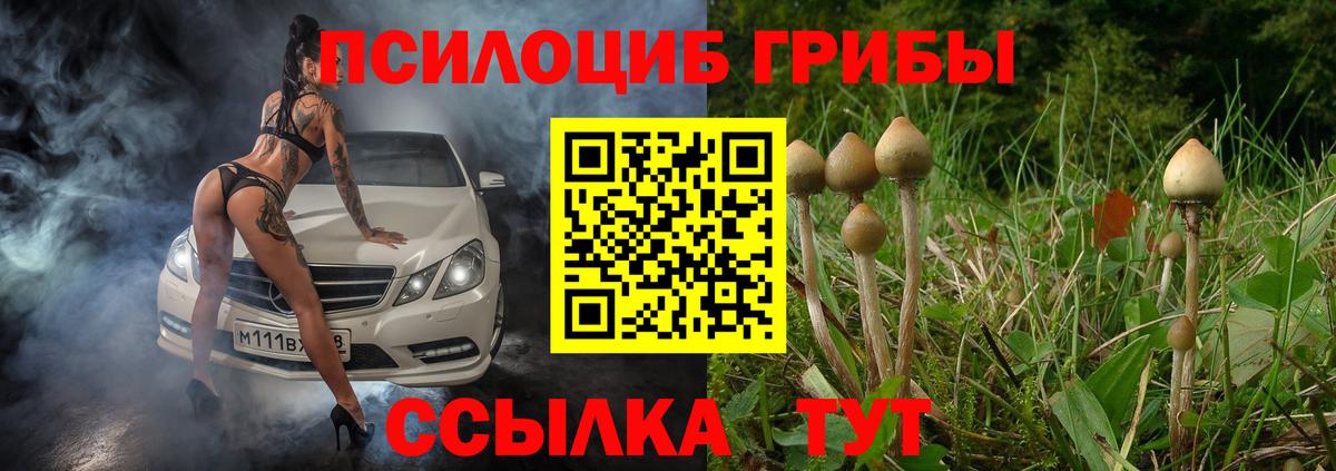 Заволжье  Псилоцибиновые грибы Magic Shrooms  Псилоцибиновые грибы Psilocybe  Вход с VPN 