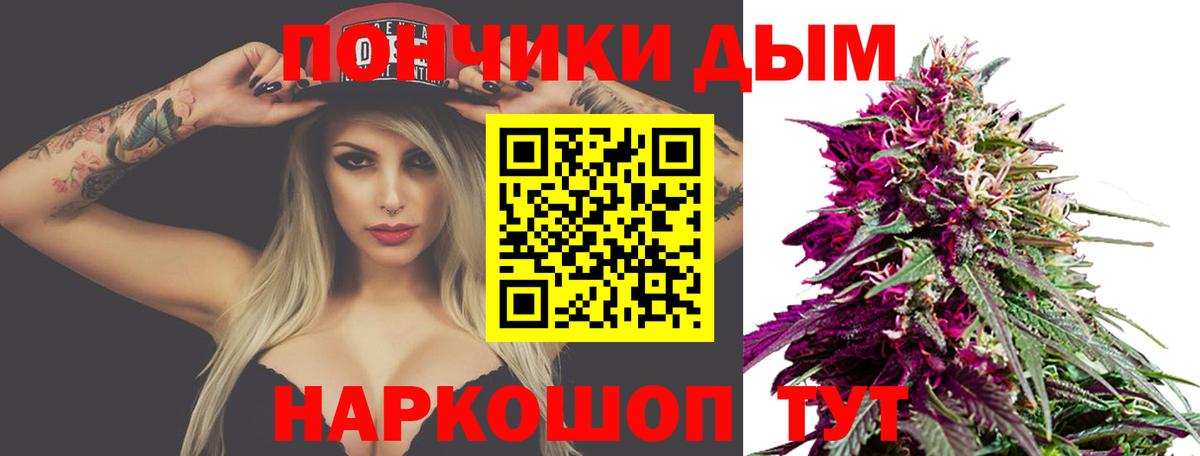 Бошки марихуана конопля  Канабис Amnesia  МАРИХУАНА семена  Заволжье  Каннабис ГИДРОПОН  Вход с VPN 
